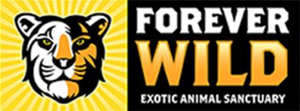 This image logo is used for Forever Wild link button
